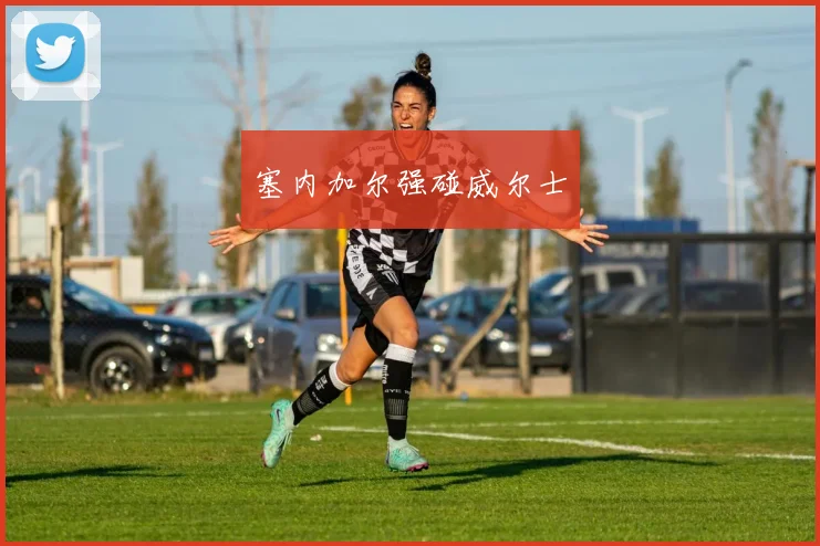 塞内加尔强碰威尔士