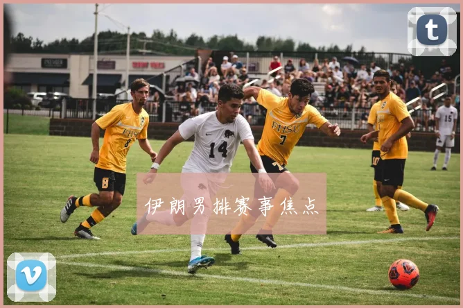 伊朗男排赛事焦点