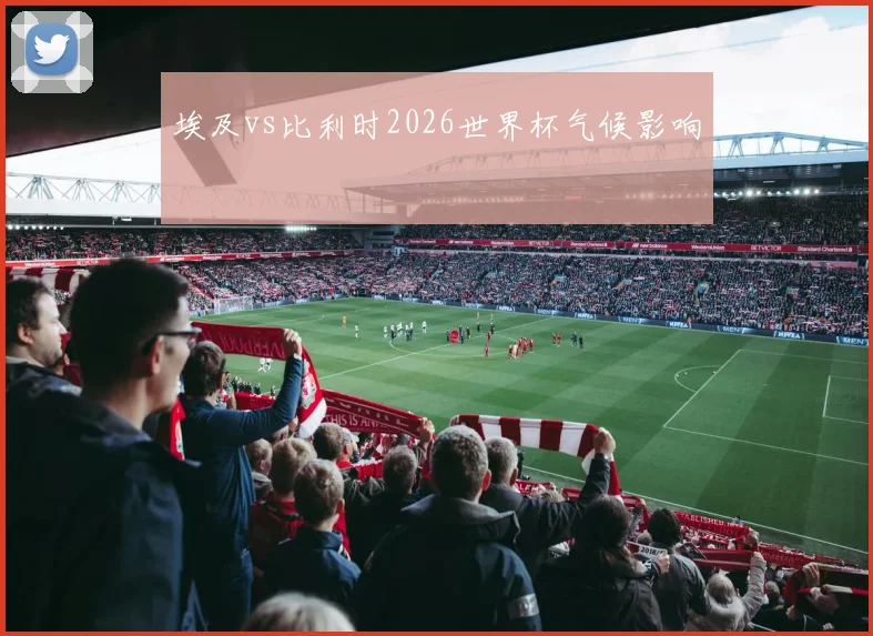 埃及vs比利时2026世界杯气候影响