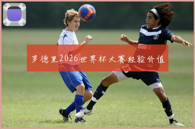 罗德里2026世界杯大赛经验价值