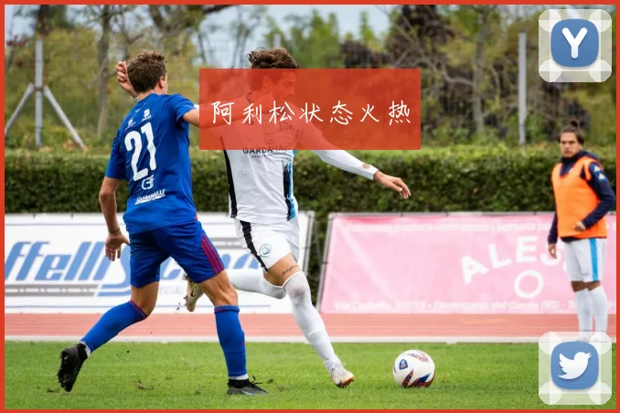 阿利松状态火热