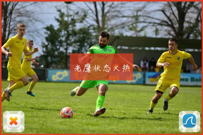 老鹰状态火热