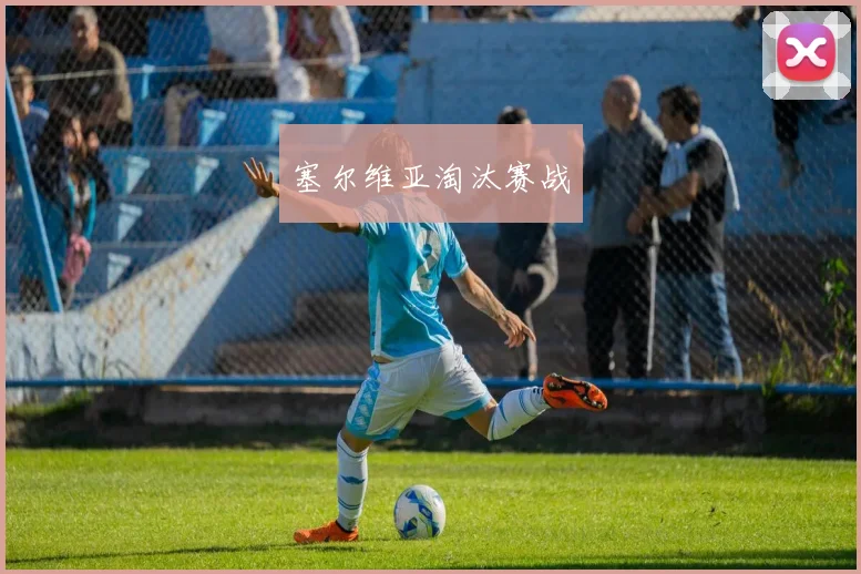塞尔维亚淘汰赛战