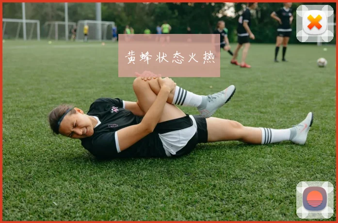 黄蜂状态火热