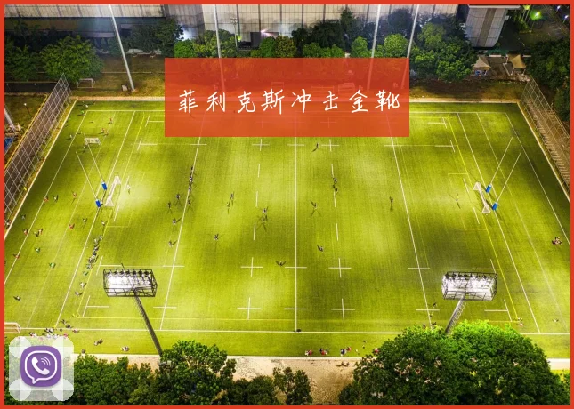 菲利克斯冲击金靴