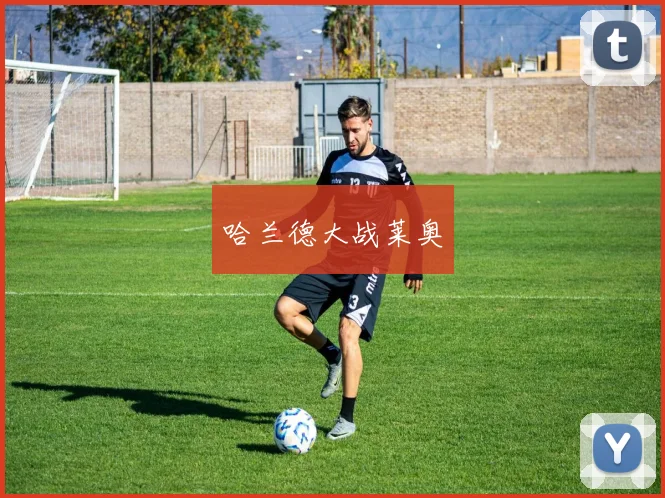 哈兰德大战莱奥