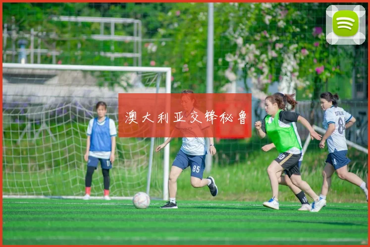 澳大利亚交锋秘鲁