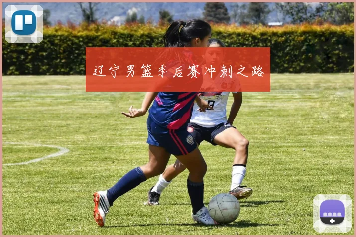 辽宁男篮季后赛冲刺之路