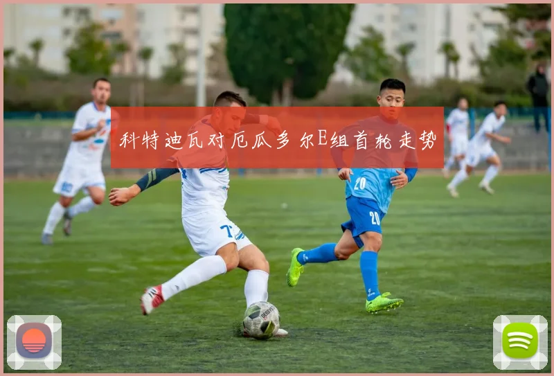 科特迪瓦对厄瓜多尔E组首轮走势
