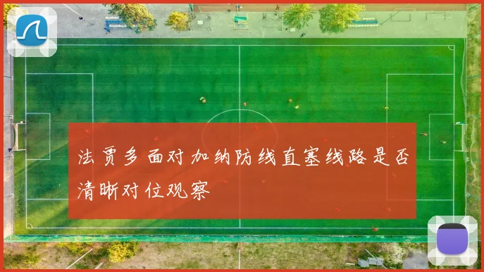 法贾多面对加纳防线直塞线路是否清晰对位观察