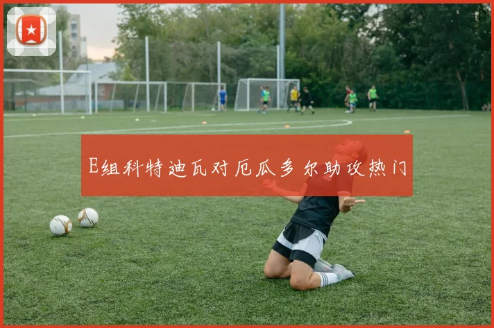 E组科特迪瓦对厄瓜多尔助攻热门