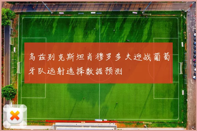 乌兹别克斯坦肖穆罗多夫迎战葡萄牙队远射选择数据预测