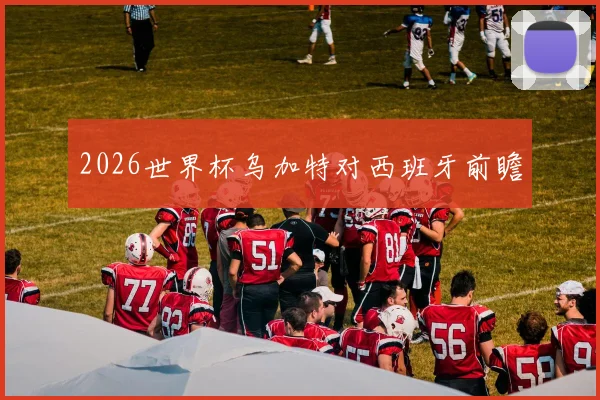 2026世界杯乌加特对西班牙前瞻